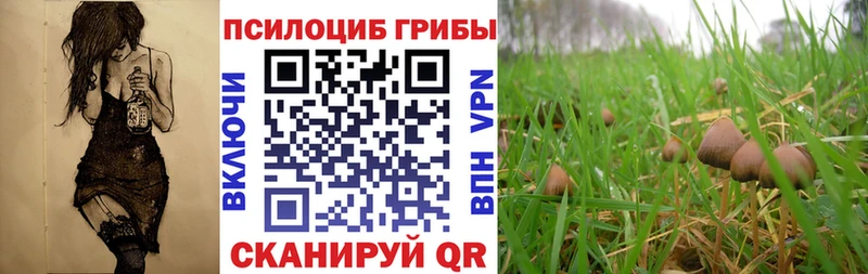Псилоцибиновые грибы MAGIC MUSHROOMS  OMG онион  Бор 